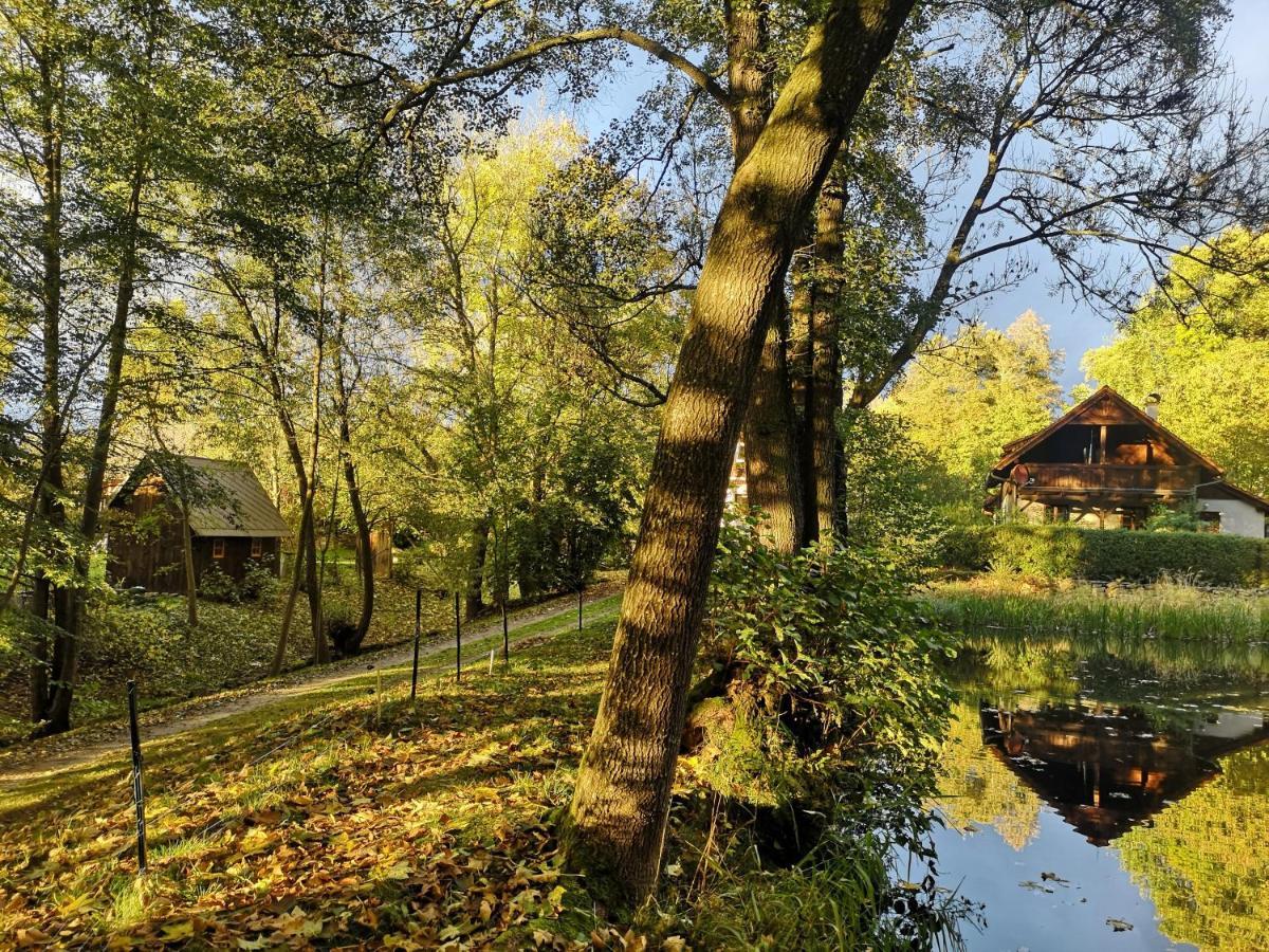 Apartmany Cerveny Dvur Chvalšiny Buitenkant foto