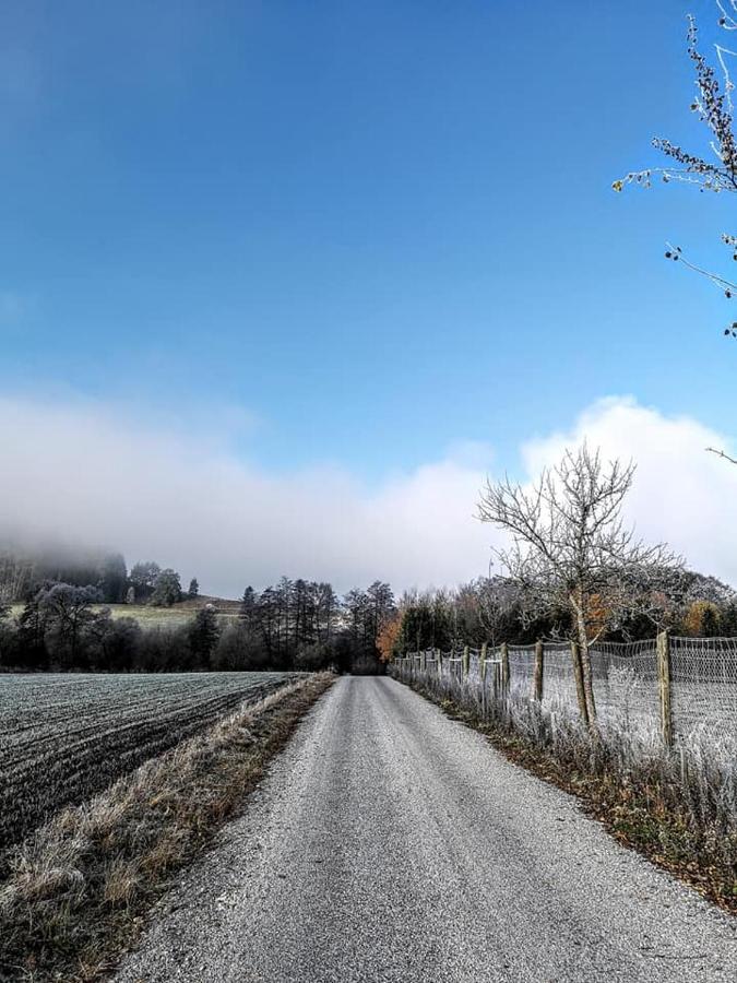 Apartmany Cerveny Dvur Chvalšiny Buitenkant foto